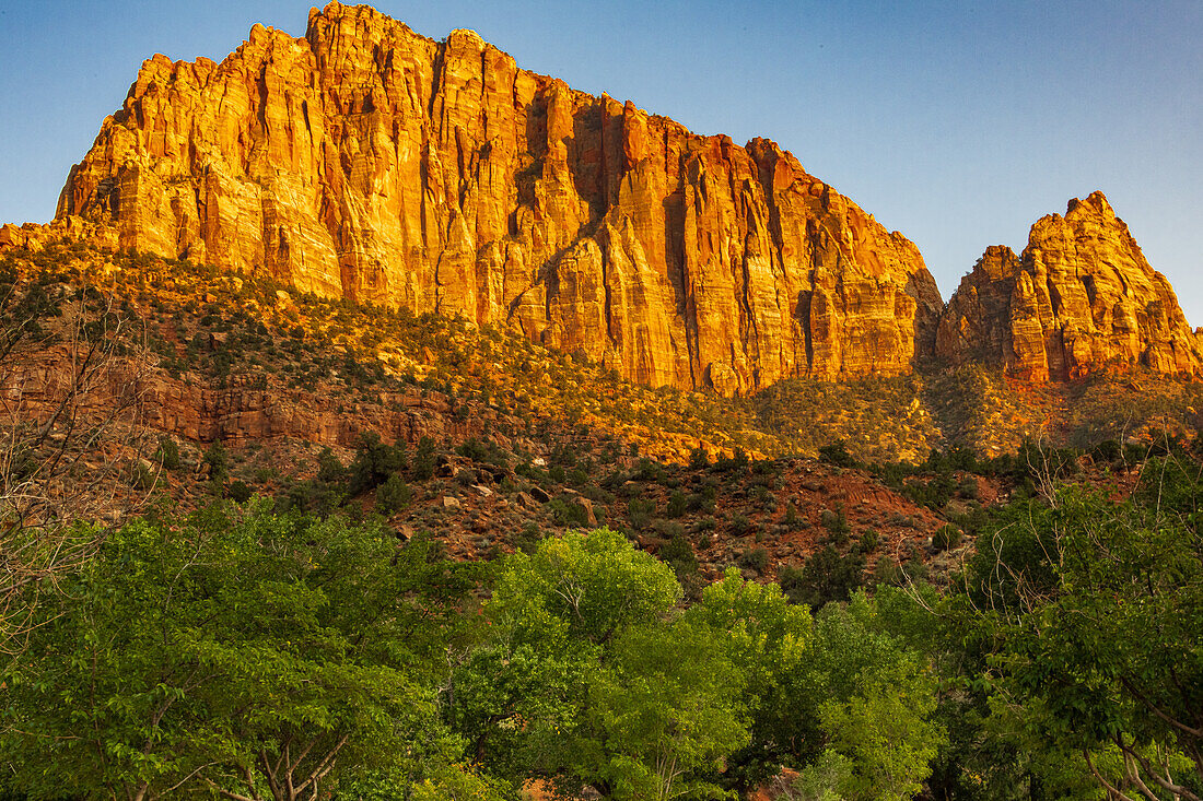 Abendlicht auf dem Felsengipfel des Watchman im Zion-Nationalpark, Utah, USA