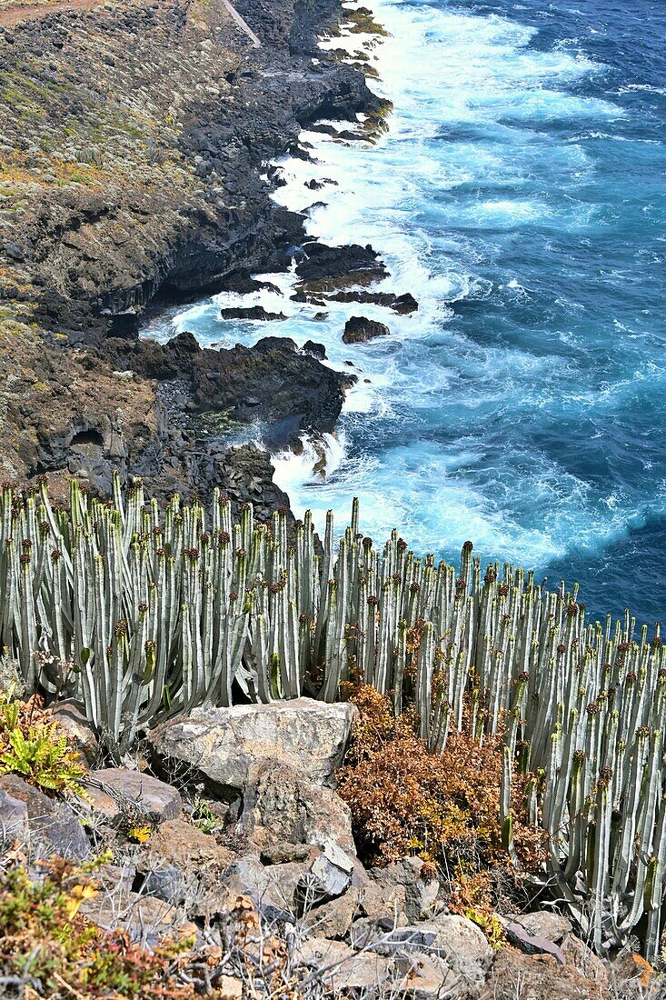 Coast of La Fajana near Barlovento, North La Palma, Canary Islands, Spain