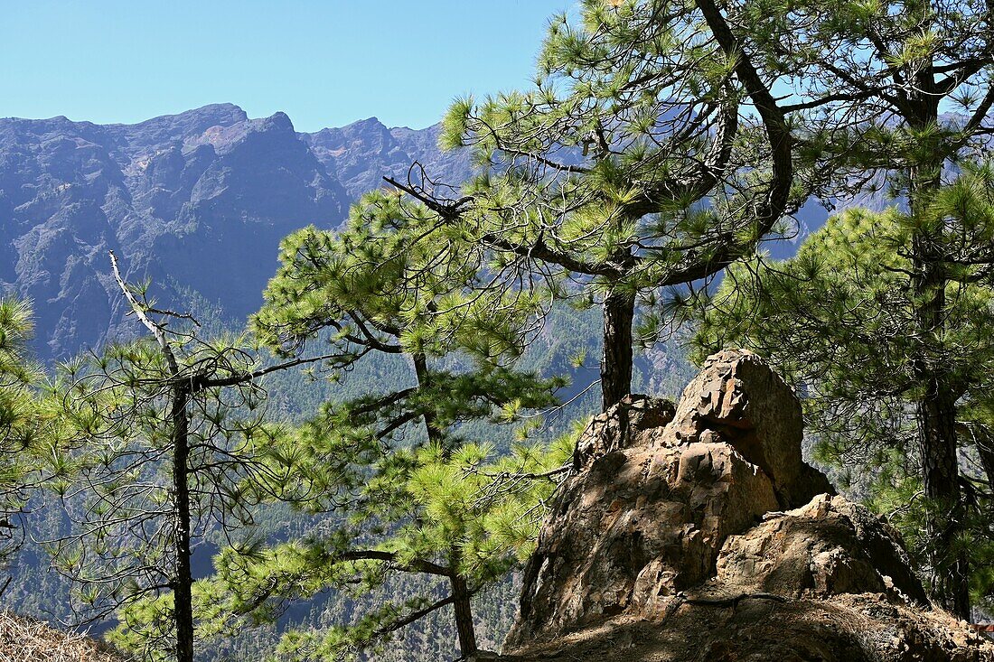 La Cumbrecita in der Caldera von La Palma, Kanarische Inseln, Spanien