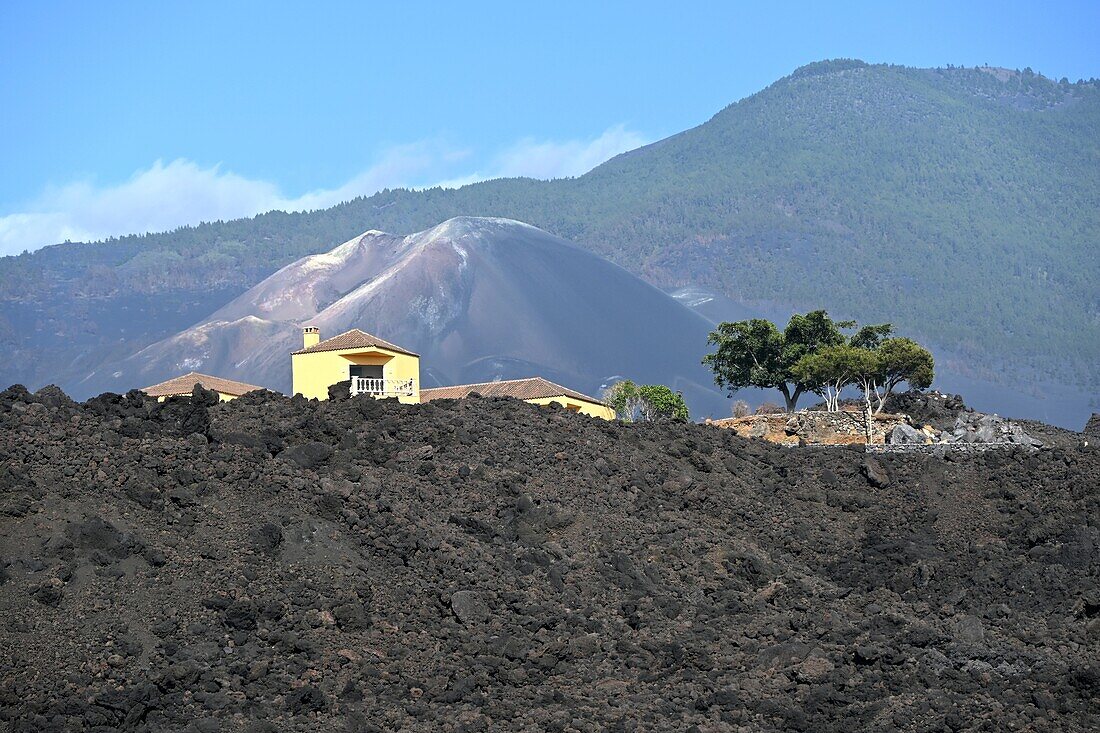 Lava vom neuen Vulkan Tajogaite, nach dem Ausbruch 2021, Todoque, Las Manchas, Westküste La Palma, Kanarische Inseln, Spanien