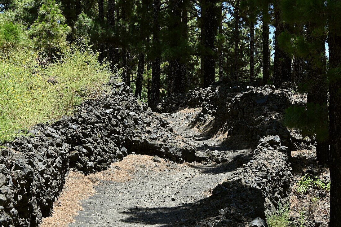 Wanderweg Ruta de los Vulcanes über Fuencaliente, Südküste, La Palma, Kanarische Inseln, Spanien