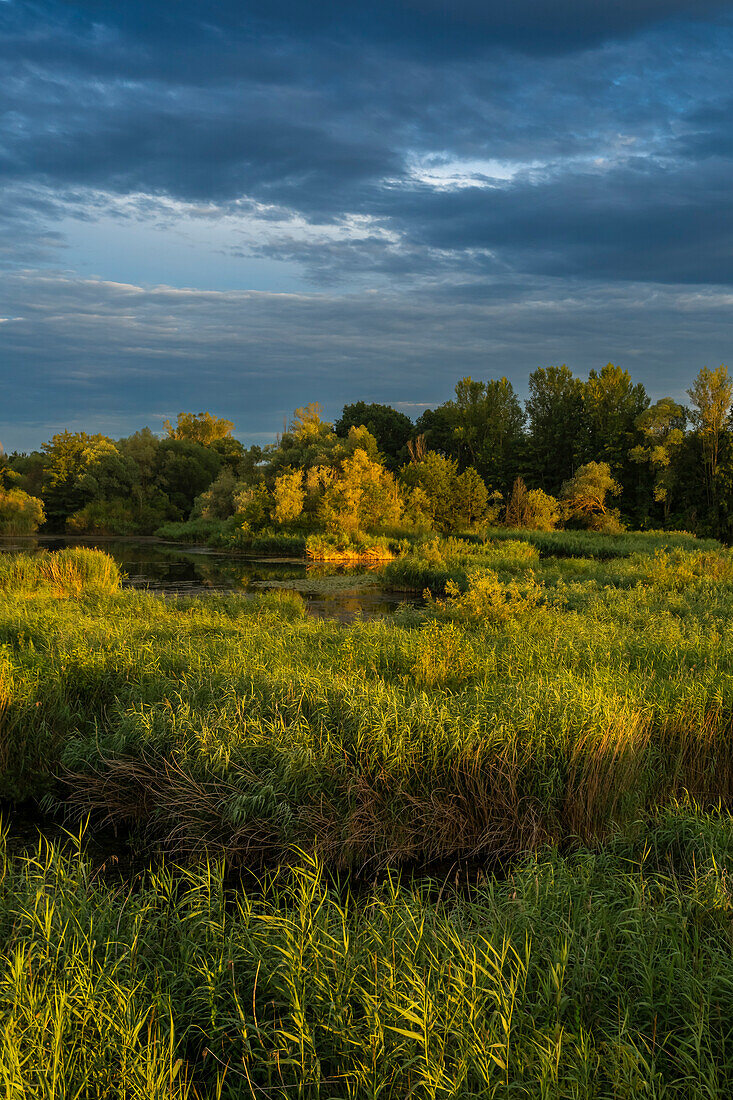 Sunset in the bird sanctuary NSG Garstadt near Heidenfeld in the district of Schweinfurt, Lower Franconia, Bavaria, Germany