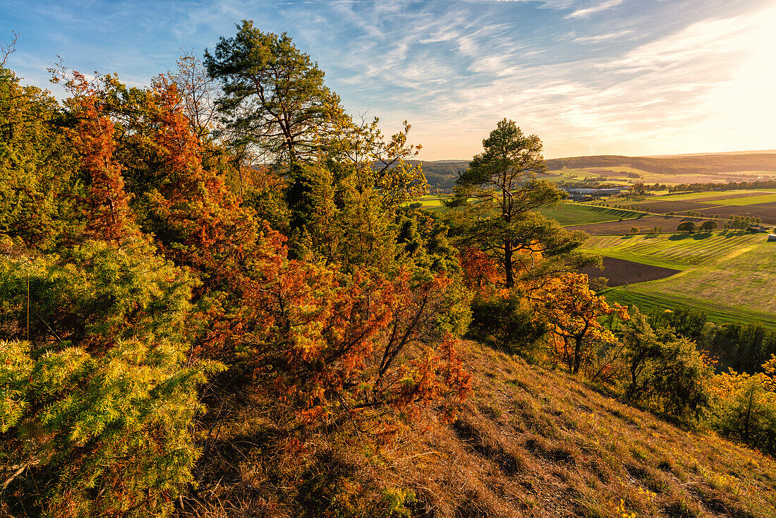 Sonnenuntergang über dem Steppenheidewald am Hohhafter Berg bei Gössenheim und Karsbach im Naturschutzgebiet Ruine Homburg, Unterfranken, Franken, Bayern, Deutschland\n