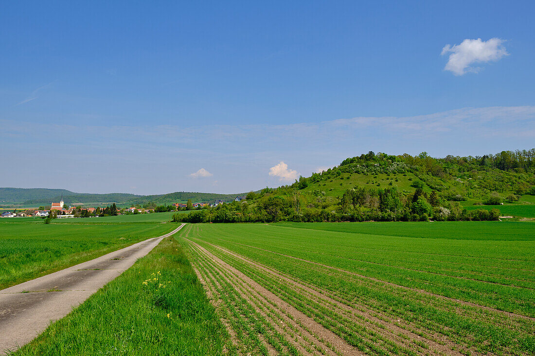 Low mountain range landscape of the Haßberge near Goßmannsdorf, part of the town of Hofheim in Lower Franconia, Haßfurt district, Haßberge Nature Park, Lower Franconia, Franconia, Bavaria, Germany