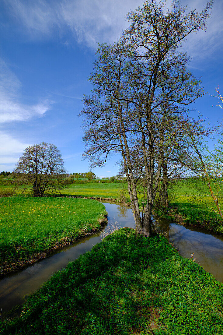 Die Baunachaue bei Pfarrweisach, Naturpark Haßberge, Landkreis Haßberge, Unterfranken, Franken, Bayern, Deutschland