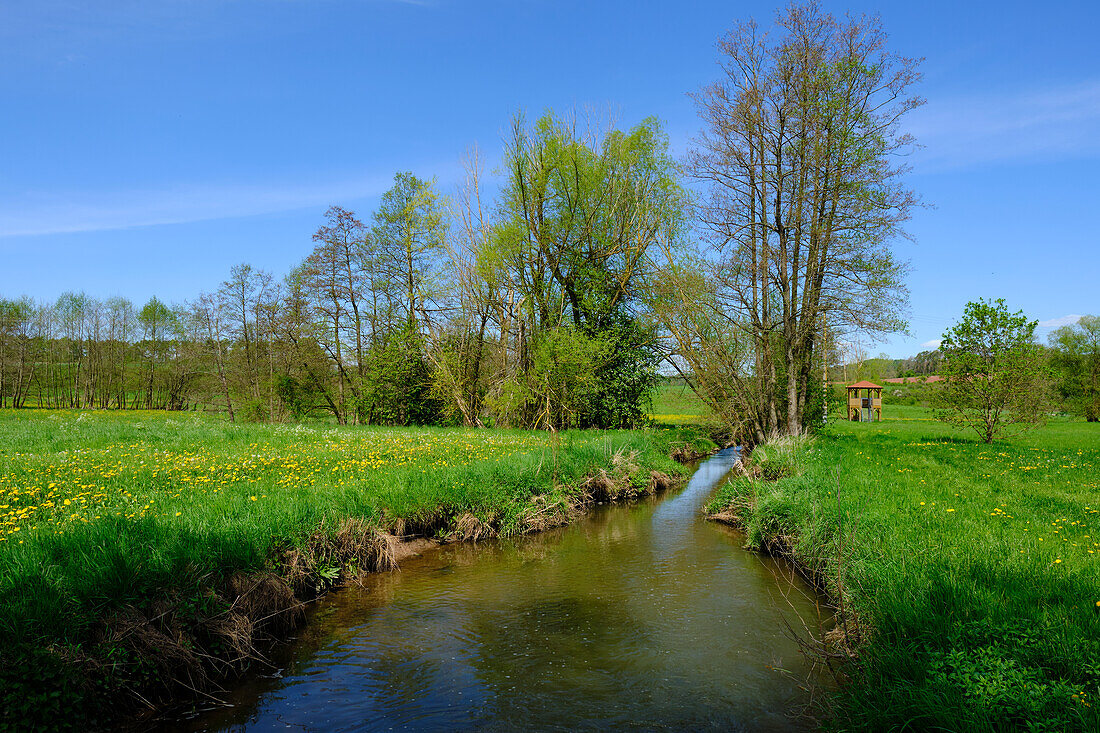 Die Baunachaue bei Pfarrweisach, Naturpark Haßberge, Landkreis Haßberge, Unterfranken, Franken, Bayern, Deutschland