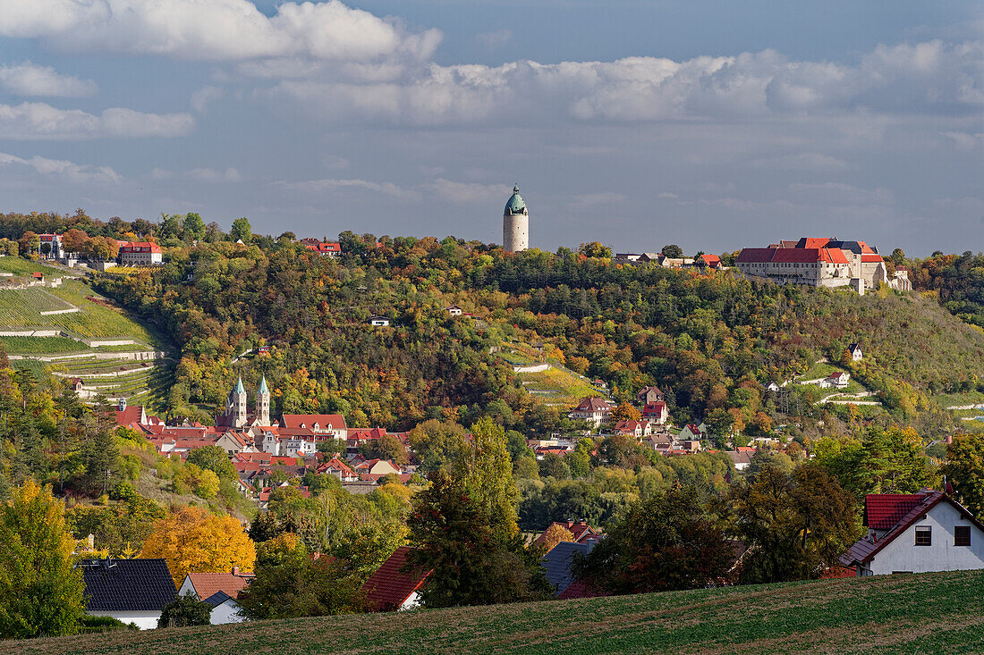 Blick vom Schafberg beim Weinort Zscheiplitz auf die historische Weinbergstadt Freyburg/Unstrut und die Weinlage Schweigenberg, Burgenlandkreis, Sachsen-Anhalt, Deutschland