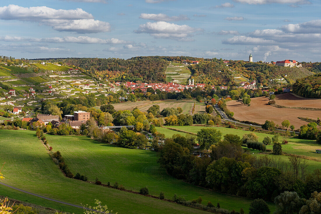 Blick vom Weinort Zscheiplitz auf die historische Weinbergstadt Freyburg/Unstrut mit der Neuenburg, Burgenlandkreis, Sachsen-Anhalt, Deutschland