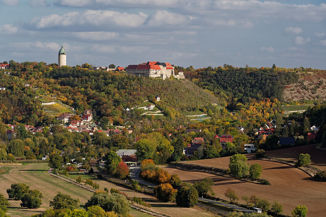 Blick vom Weinort Zscheiplitz auf die historische Weinbergstadt Freyburg/Unstrut mit der Neuenburg, Burgenlandkreis, Sachsen-Anhalt, Deutschland