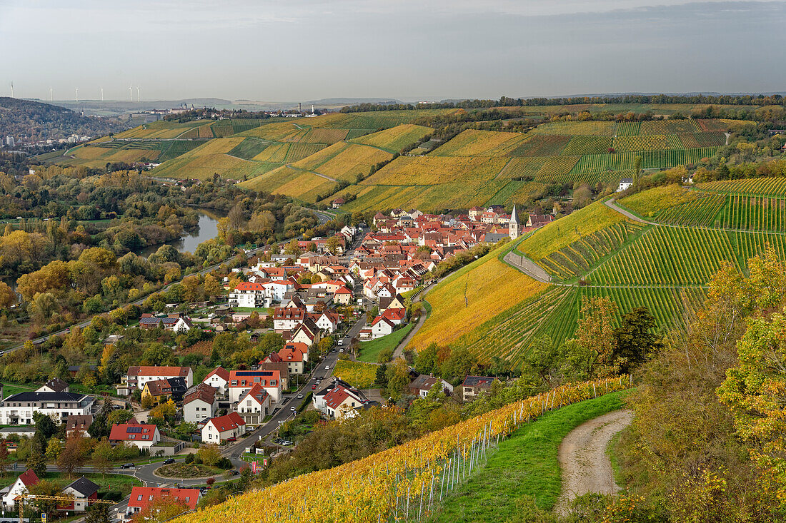 Weinberge und Landschaft beim Winzerort Randersacker am Main bei Würzburg, Landkreis Würzburg, Unterfanken, Bayern, Deutschland