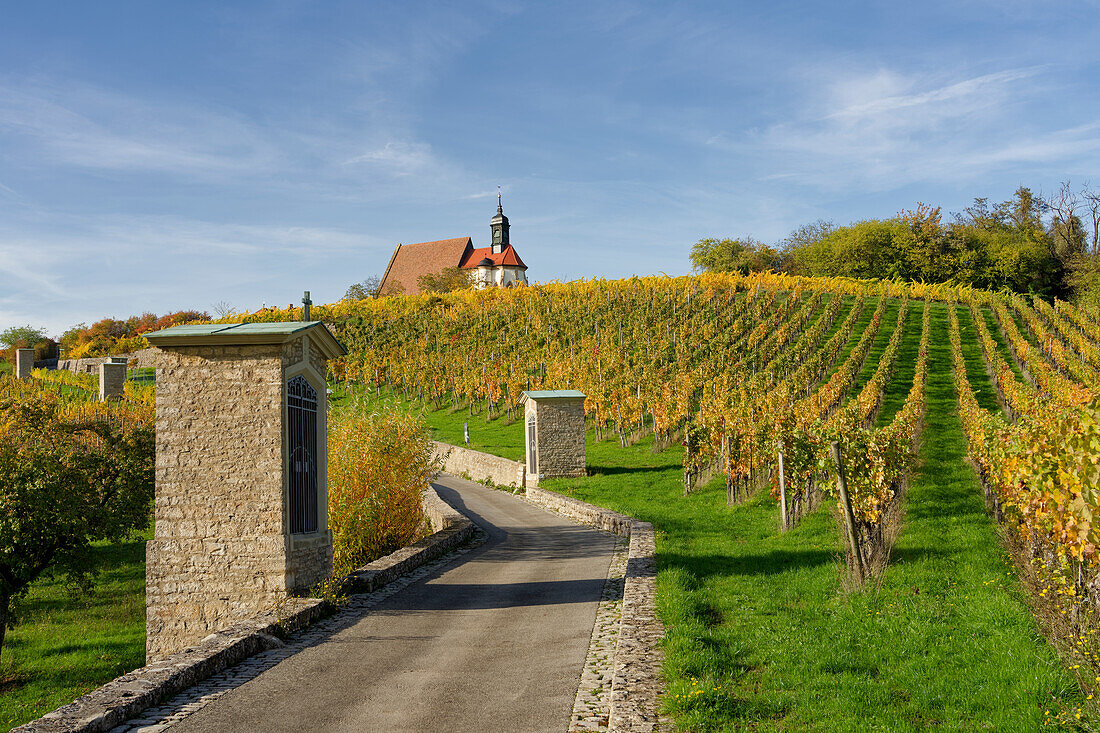 Maria im Weingarten and vineyards near Volkach, Lower Franconia, Bavaria, Germany