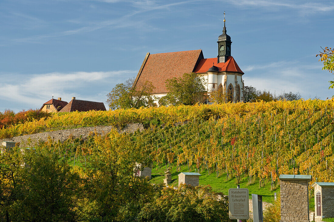 Maria im Weingarten und Weinberge bei Volkach, Unterfanken, Bayern, Deutschland