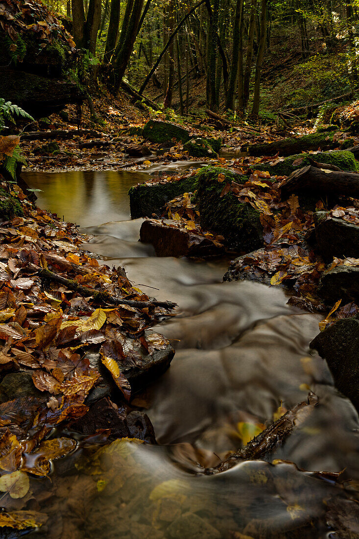 The Trettstein waterfall of the Eidenbach near Gräfendorf in the Spessart Nature Park, Main-Spessart district, Franconia, Lower Franconia, Bavaria, Germany