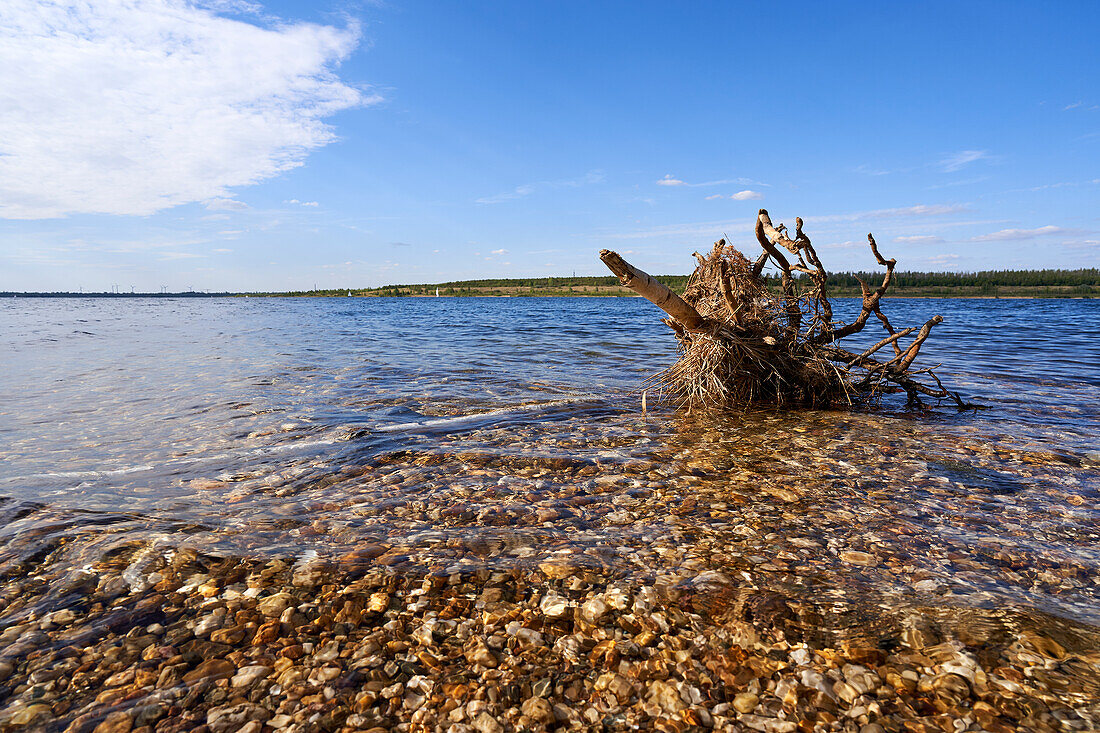 Zwenkauer See der größte See im Leipziger Neuseenland, Stadt Zwenkau, Landkreis Leipzig, Sachsen, Deutschland