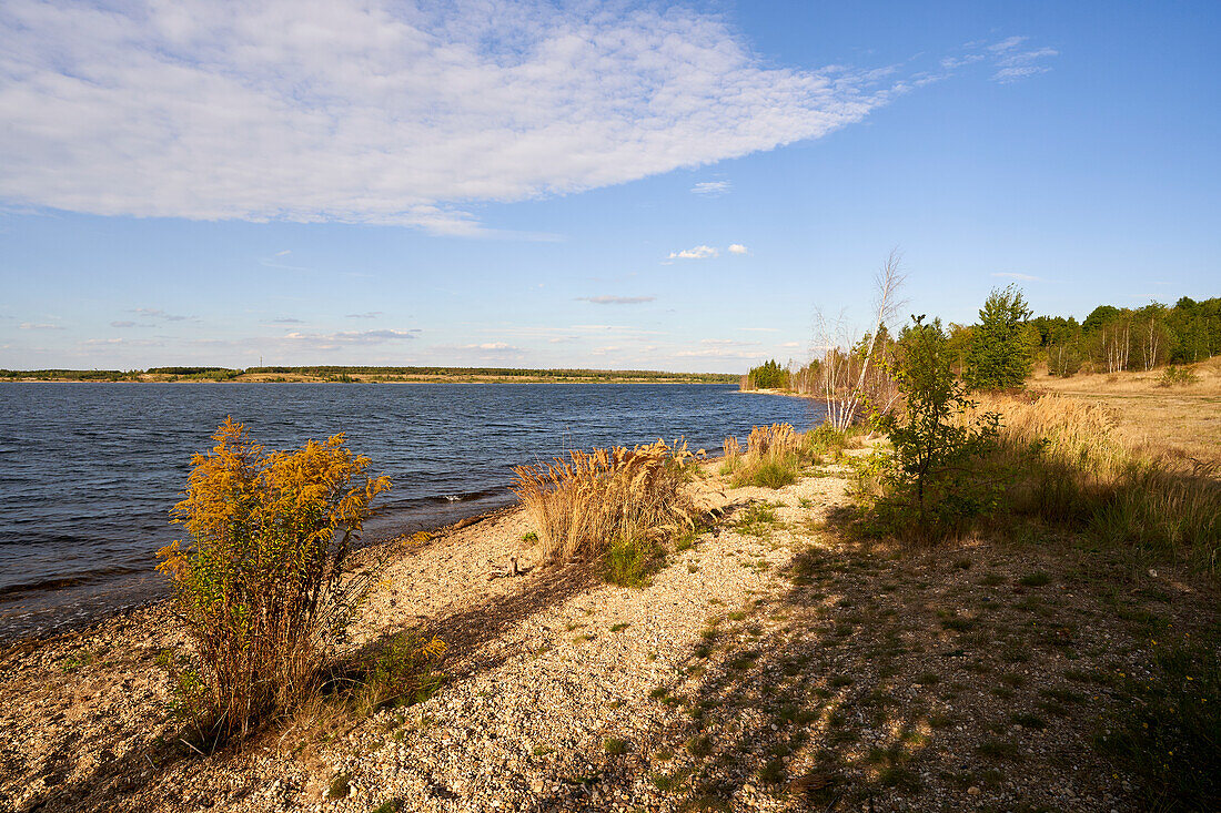 Zwenkauer See the largest lake in the Leipzig Neuseenland, town of Zwenkau, district of Leipzig, Saxony, Germany