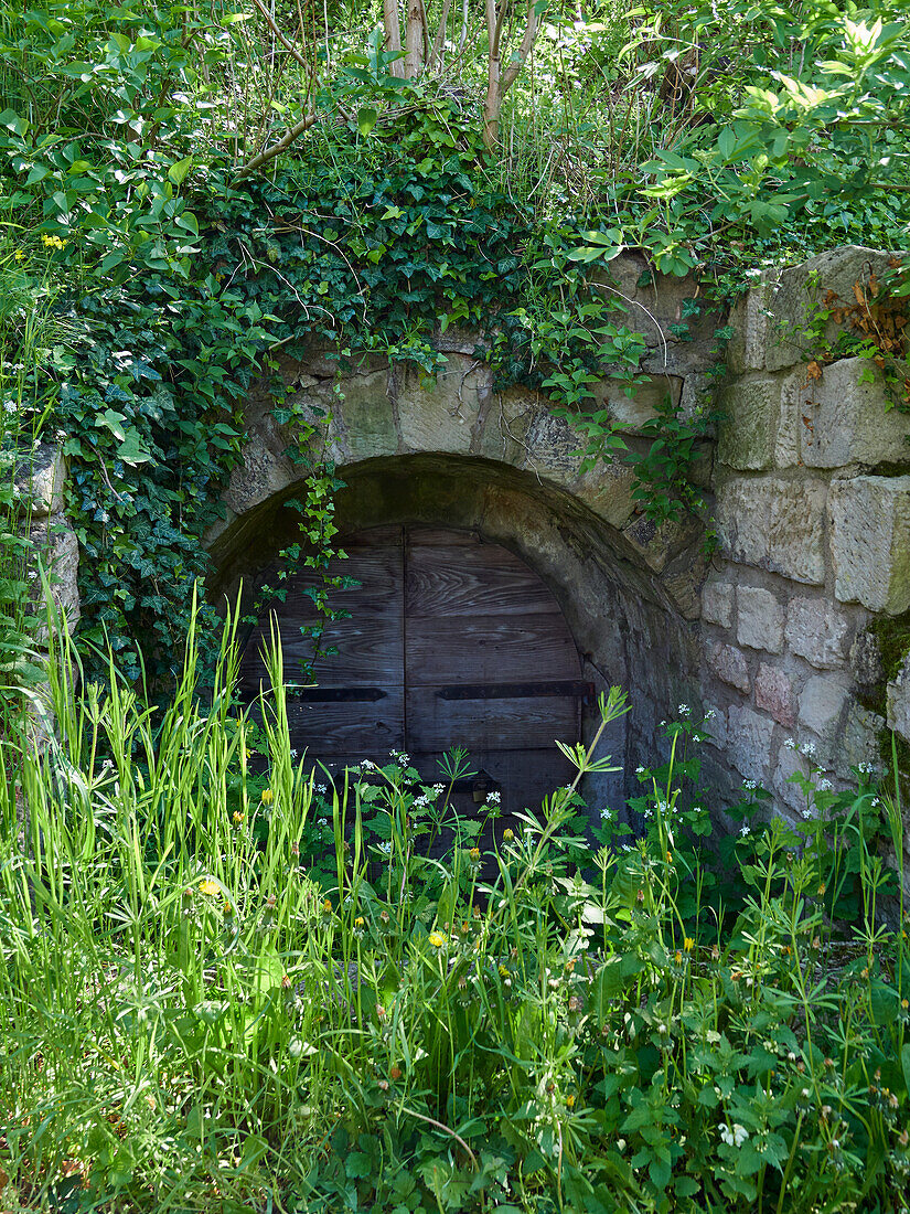 Alter Weinkeller am Ebelsberg, Gemeinde Ebelsbach, Naturpark Haßberge, Landkreis Haßberge, Unterfranken, Franken, Bayern, Deutschland