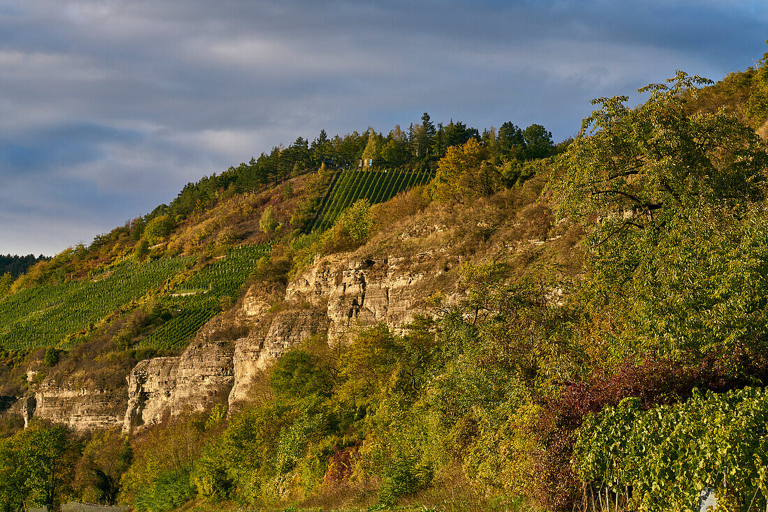 Main bluff below the vineyards of Stetten and the Main valley between Himmelstadt am Main and Karlstadt am Main, Main-Spessart district, Lower Franconia, Bavaria, Germany