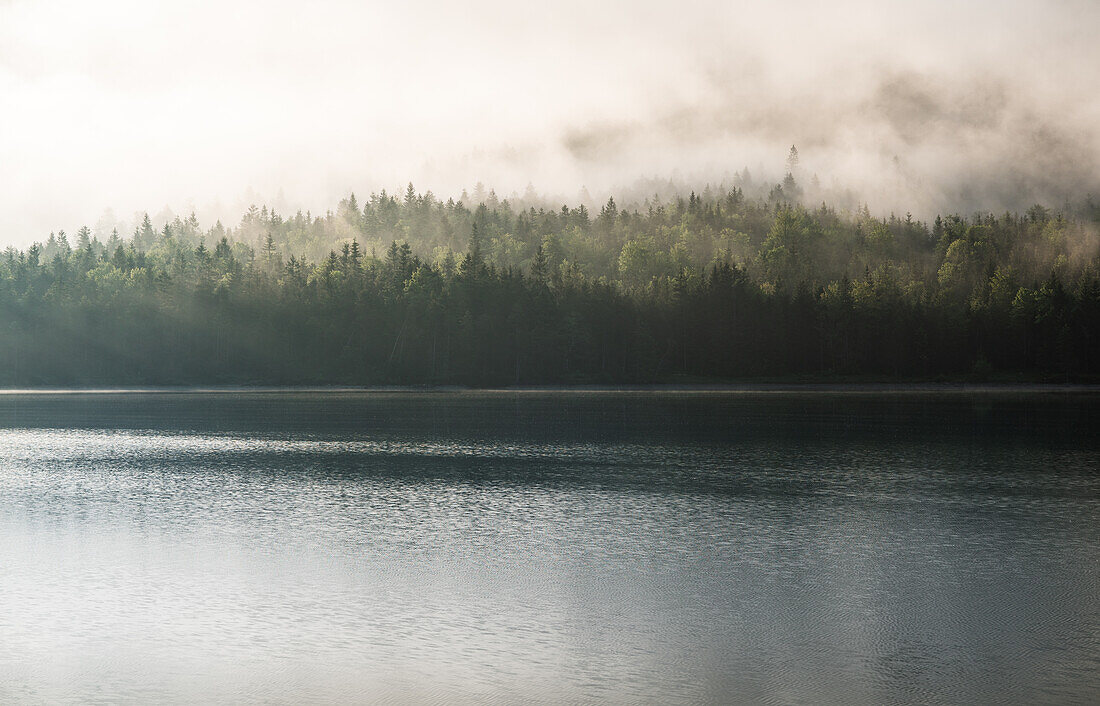 Mystical morning atmosphere at Plansee, Reutte, Austria