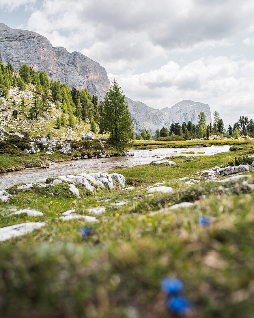 Bachlauf im Naturpark Fanes-Sennes-Prags, Südtirol, Italien