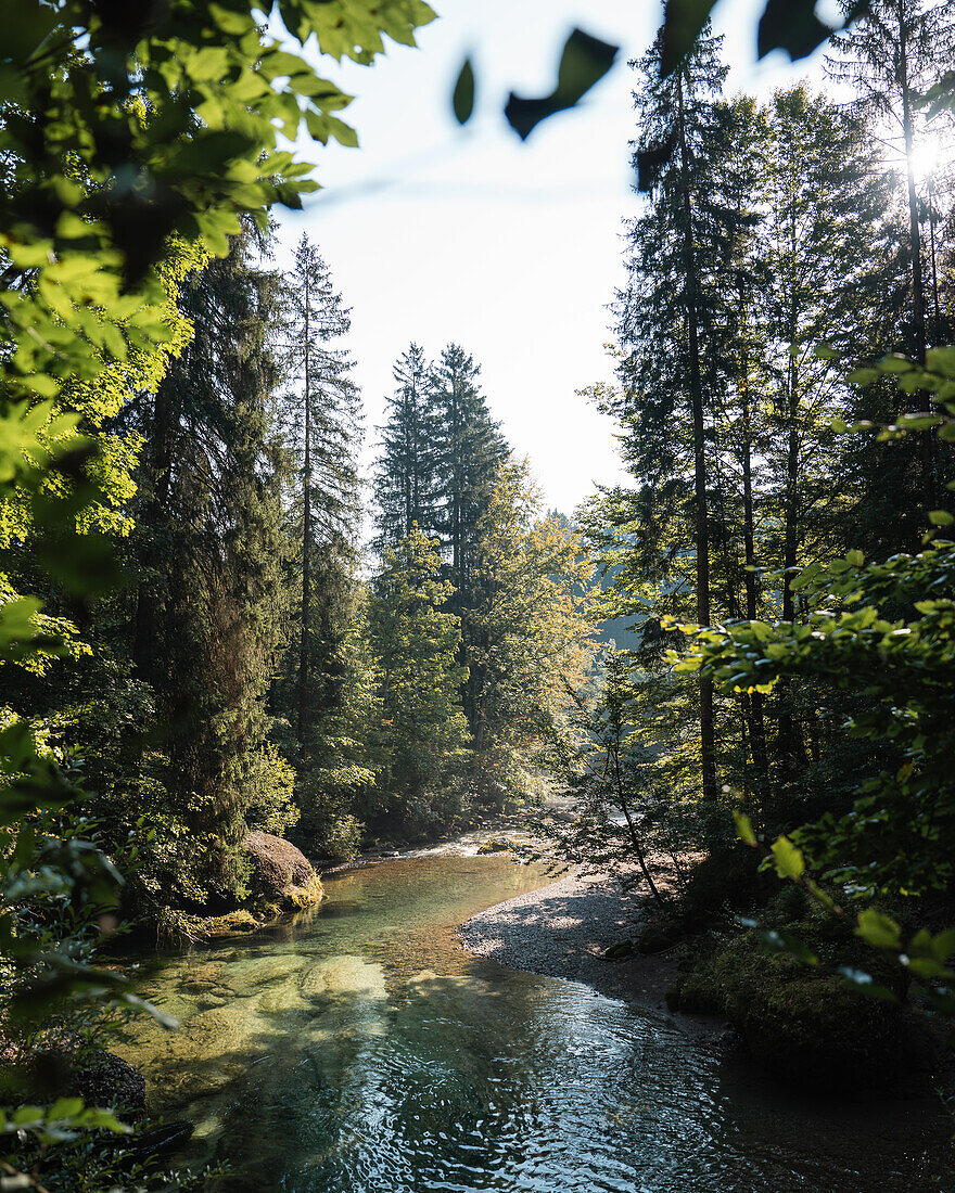 Morning hike through the Haldertobel, Allgäu, Germany