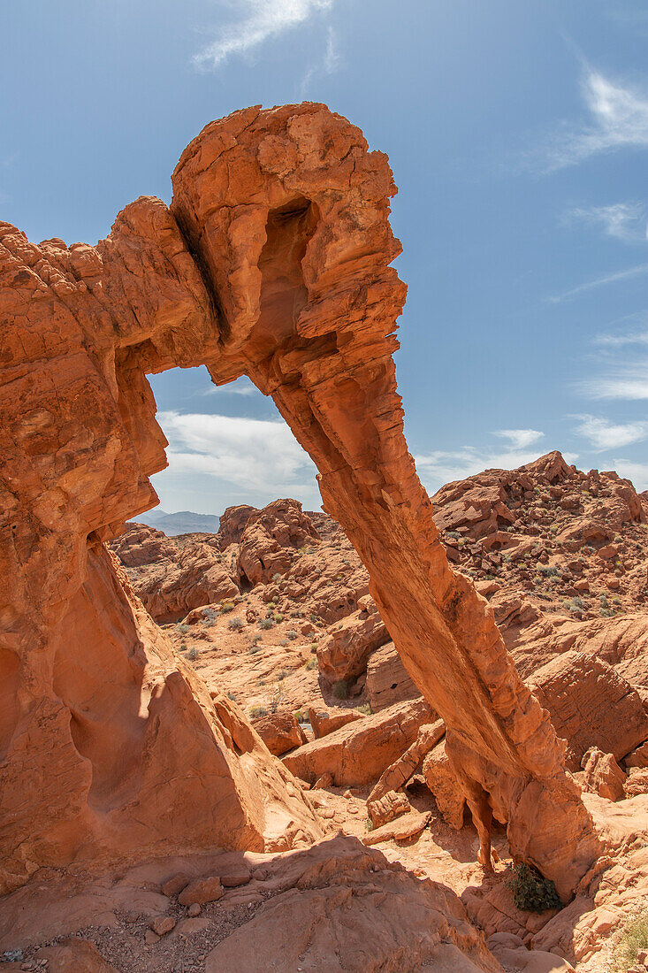 Eine Felsformation geformt wie ein Elefant in der Wüste vor blauem Himmel. Elephant Rock. Valley of Fire, Nevada, USA