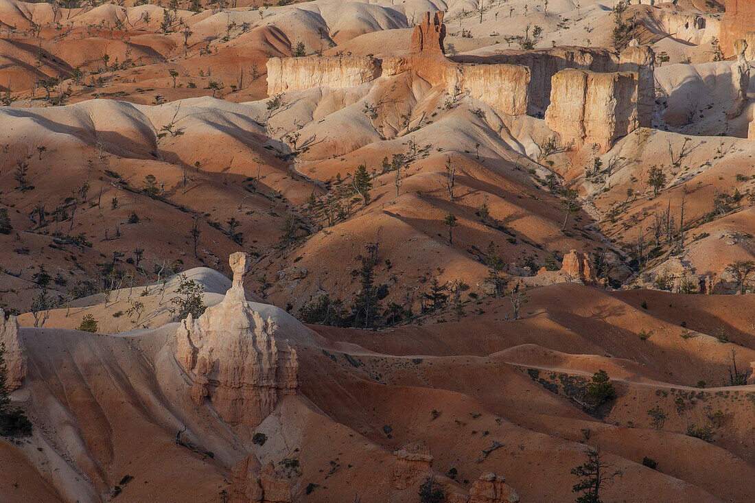 Red and yellow rock and hilly landscape lies in the evening light. Light and shadow.