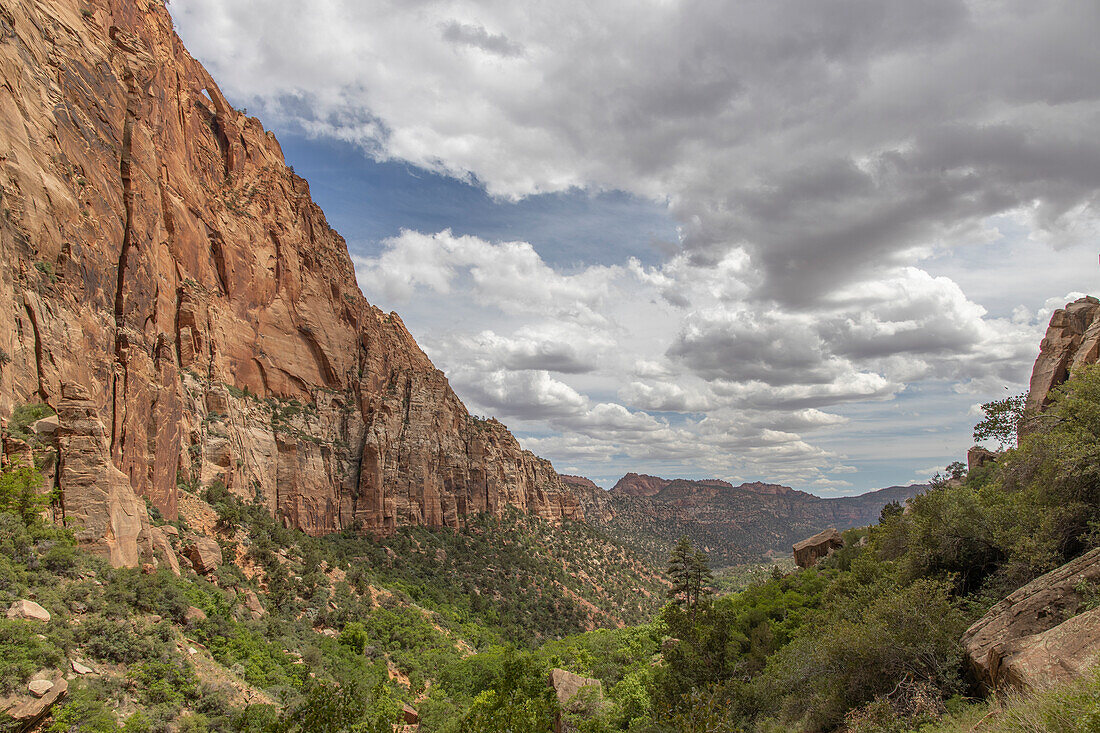 View into Water Canyon with clouds and high rock face on the left. Canaan Mountain Wilderness, Springdale.