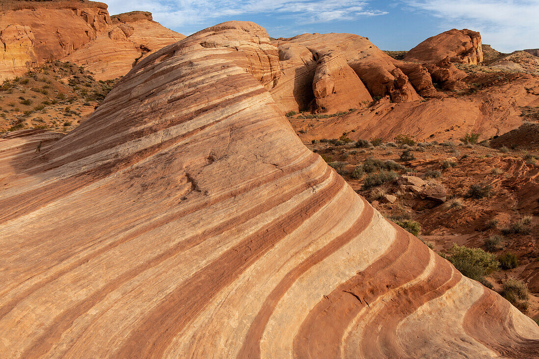 Geschwungene Linien im Fels von Felsformation Fire Wave im Valley of Fire State Park, Nevada, USA