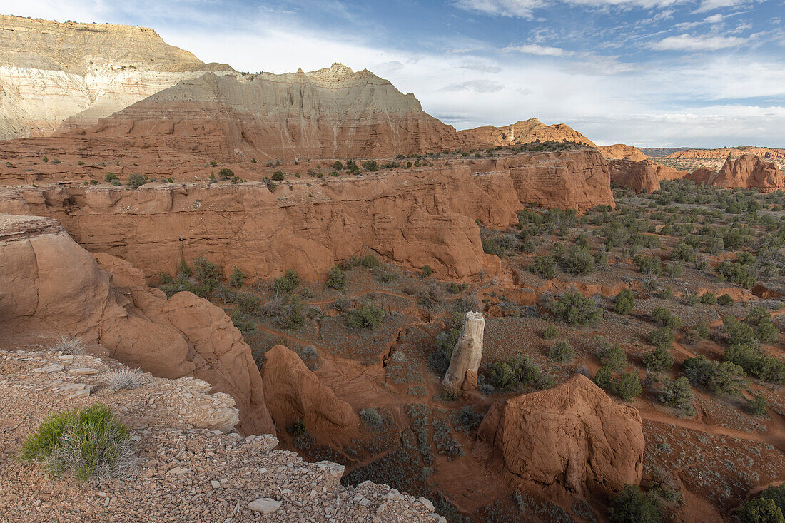 Blick ins Tal von Kodachrome State Park. Felswand auf der linken Seite, Utah, USA