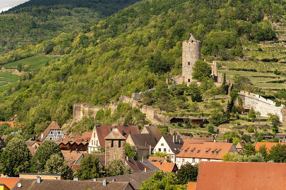 Die Burg Kaysersberg, Elsass, Frankreich  