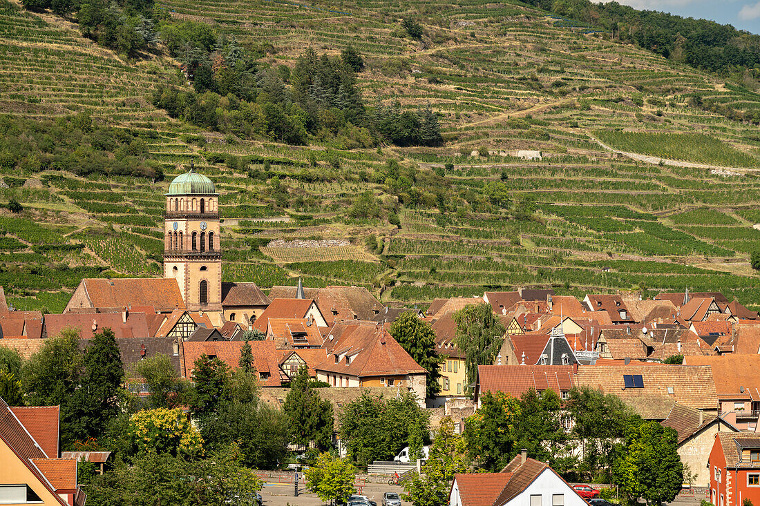 Stadtansicht mit Kirche Sainte-Croix und Weinberg in Kaysersberg, Elsass, Frankreich  \n