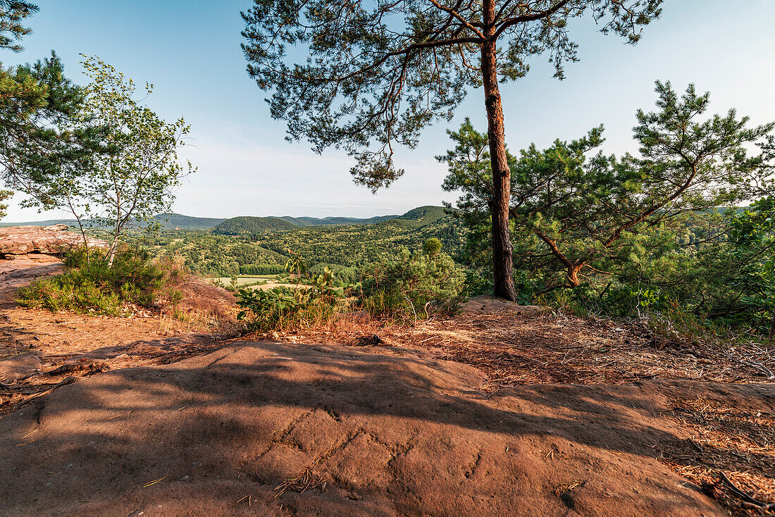 On the rock of Geiersteine, Wernersberg, Palatinate Forest, Rhineland-Palatinate, Germany