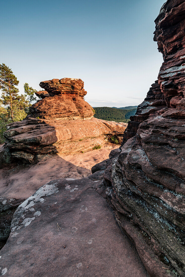 Die untergehende Sonne am Rötzenfels, Gossersweiler-Stein, Pfälzerwald, Rheinland-Pfalz, Deutschland