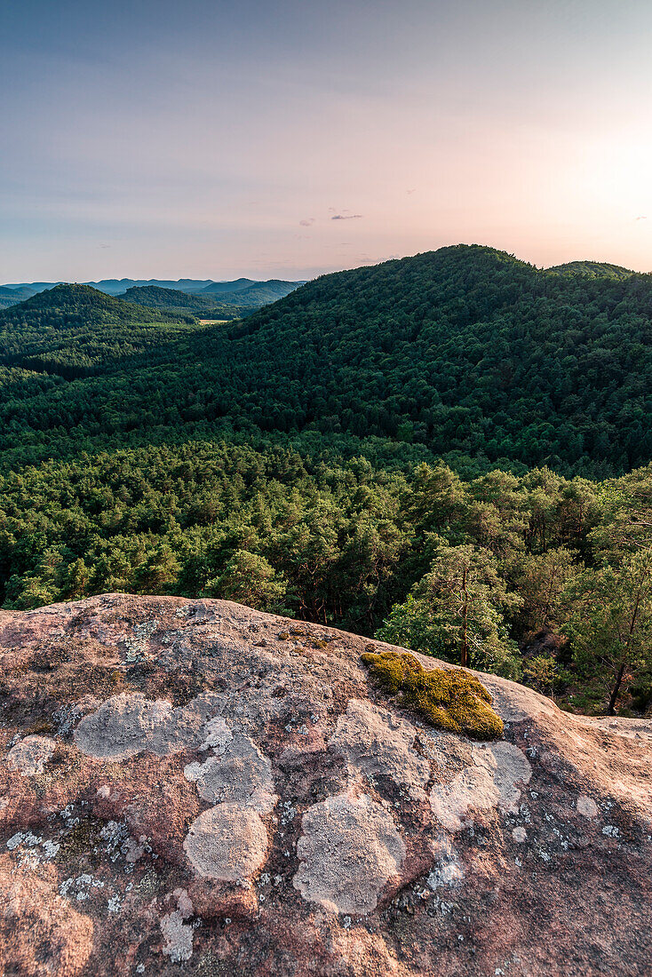 Blick Richtung Burgruine Lindelbrunn, Rötzenfels, Gossersweiler-Stein, Pfälzerwald, Rheinland-Pfalz, Deutschland