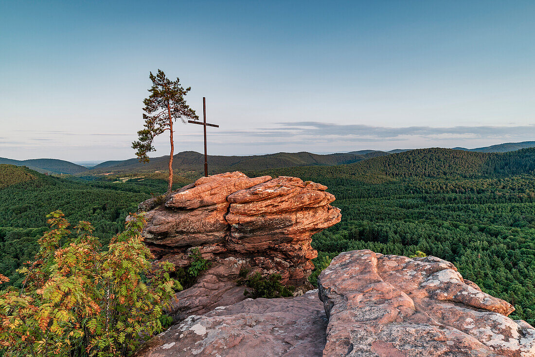 Summit cross and pine tree on the Rötzenfels, Gossersweiler-Stein, Palatinate Forest, Rhineland-Palatinate, Germany