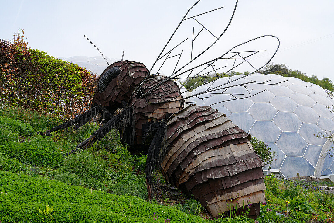 England, Grafschaft Cornwall, Eden Project, botanischer Garten, riesige Insektenskulptur im Park