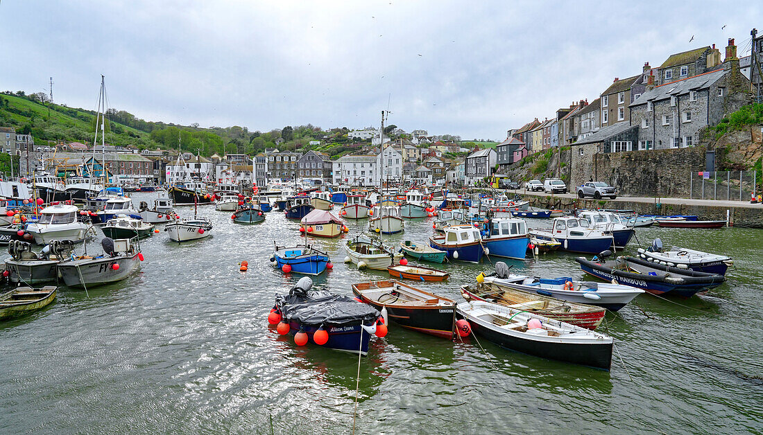 Großbritannien, England, Cornwall, Mevagissey, Fischerboote im Hafen