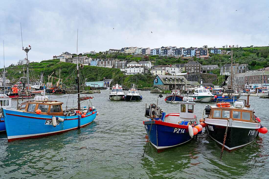 Großbritannien, England, Cornwall, Mevagissey, Fischerboote im Hafen