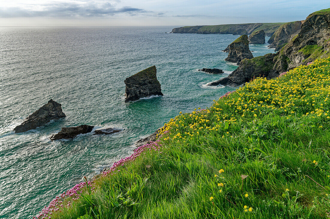 England, Cornwall, North Coast, Bedruthan Steps