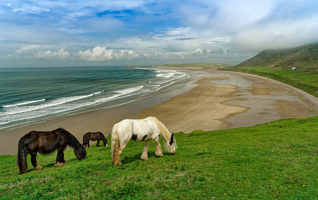 UK, Wales, Gower Peninsula, Rhossily beach