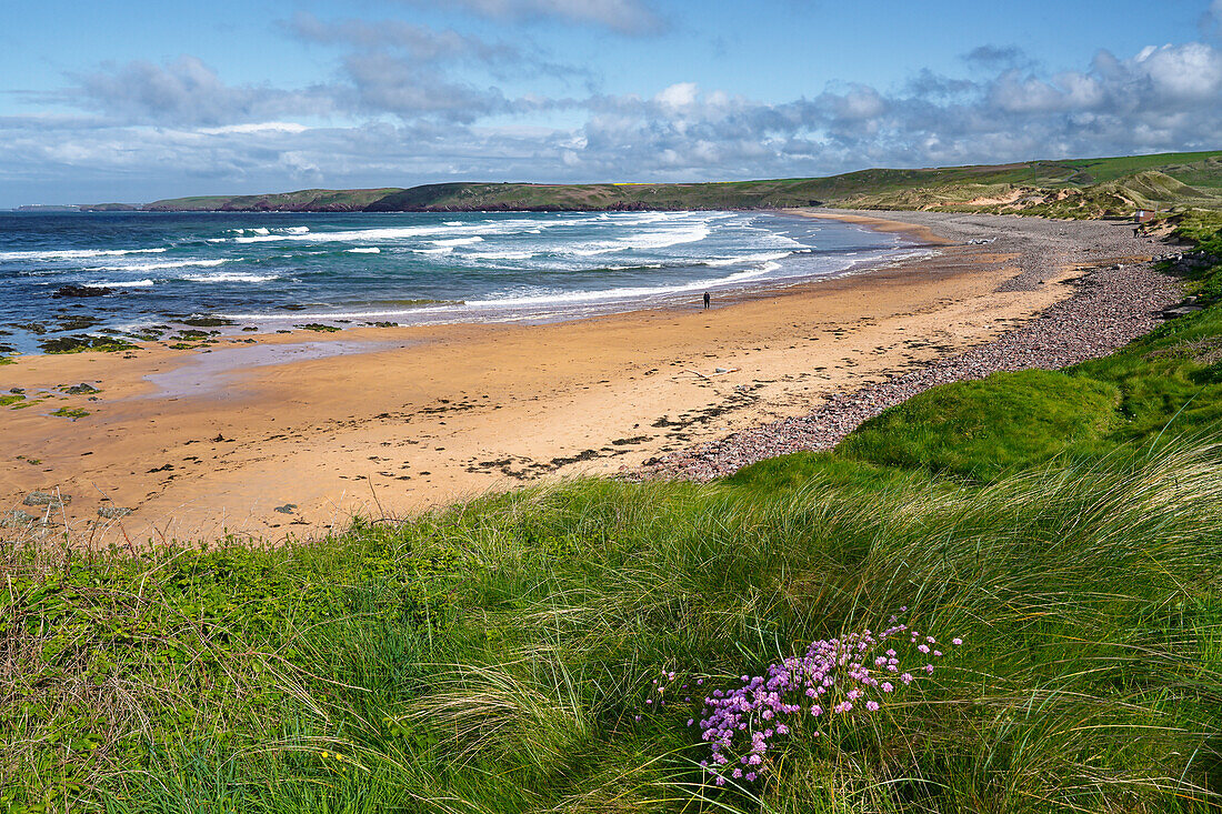 Großbritannien, Wales, Pembrokeshire, Bucht 'Freshwater West' Bay