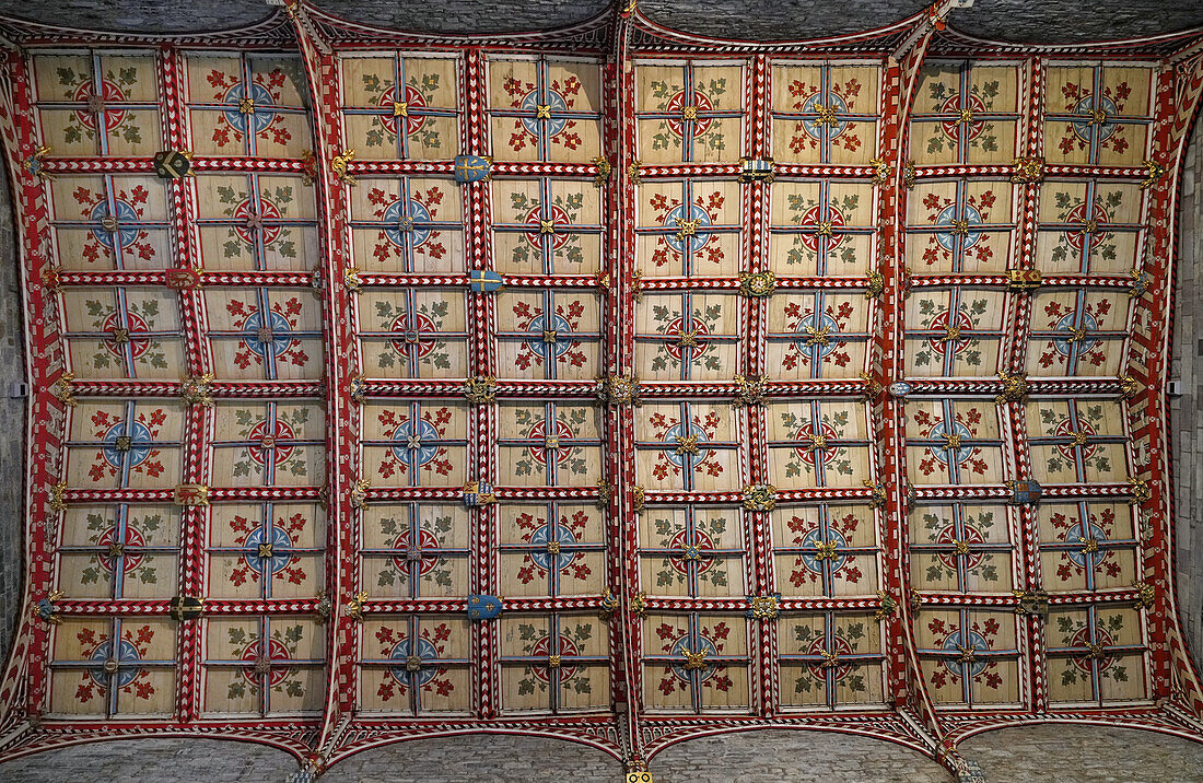 UK, Wales, Pembrokeshire, St Davids Cathedral, wooden ceiling