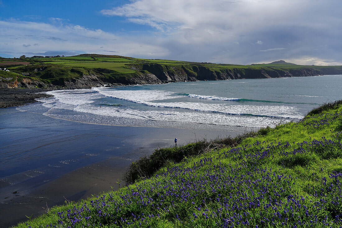 Großbritannien, Wales, Pembrokeshire, Idylle in der Bucht Abereiddy Bay