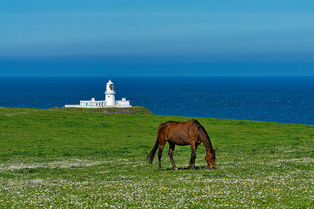 UK, Wales, Pembrokeshire, Strumble Head Lighthouse
