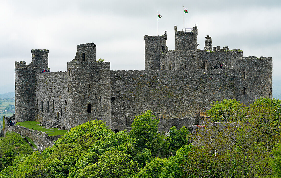 Großbritannien, West Wales, Gwynedd, Burgruine Harlech castle
