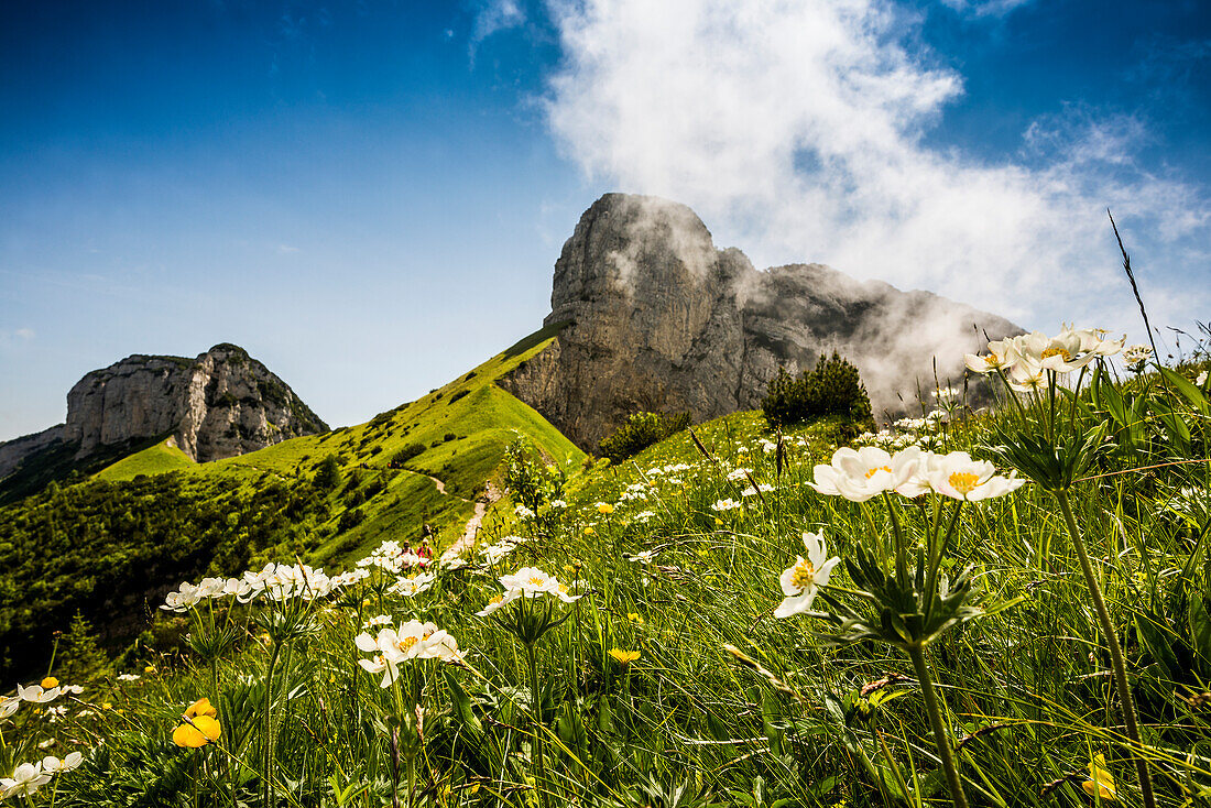 Steile Berge und Wolken, Hoher Kasten, Saxer Lücke, Alpstein, Appenzeller Alpen, Kanton Appenzell Innerrhoden, Schweiz