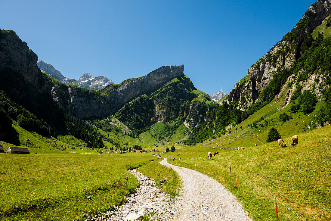 Steile Berge und See, Seealpsee, Wasserauen, Alpstein, Appenzeller Alpen, Kanton Appenzell Innerrhoden, Schweiz