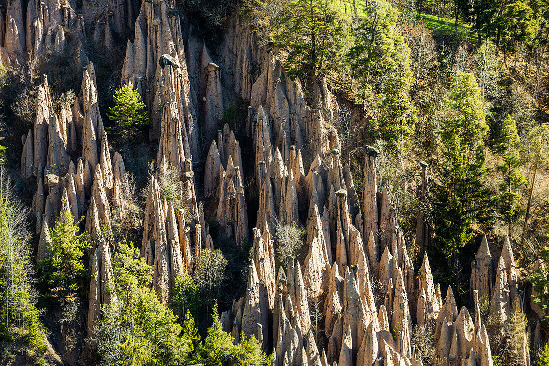 Bizarre Felsformationen, Erdpyramiden, Lengmoos, Mittelberg am Ritten, bei Bozen, Dolomiten, Südtirol, Italien