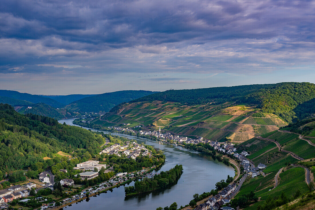 Zell an der Mosel, Merl Mosel district, Cochem-Zell district, Rhineland-Palatinate, Germany, Europe
