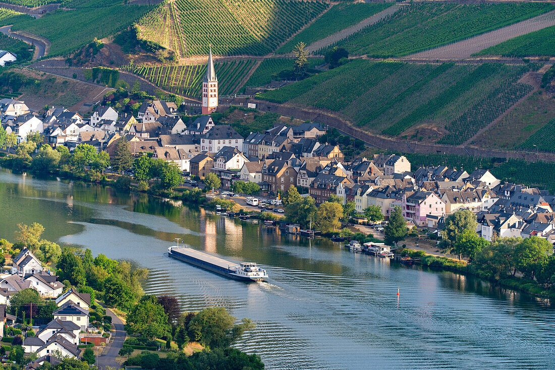 Zell an der Mosel, Stadtteil Merl Mosel, Kreis Cochem-Zell, Rheinland-Pfalz, Deutschland, Europa